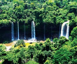 The magnificent Calabar Falls